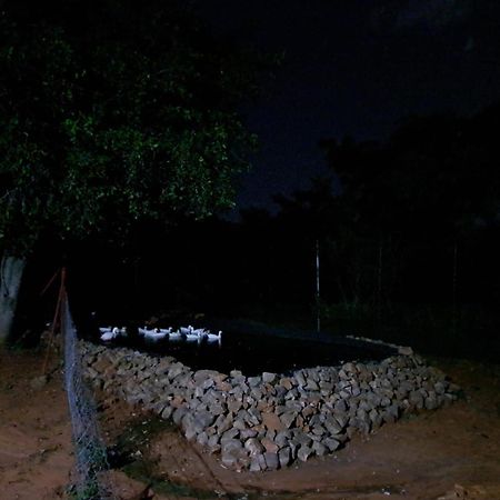 5 Sleeper Bushcamp Chalet 哈特比斯普特 外观 照片